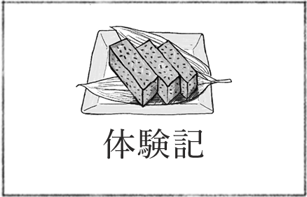 体験記