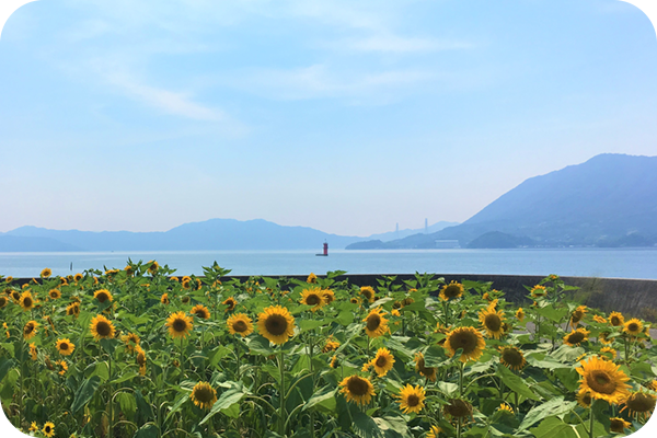 手つかずの自然満喫できる離島
