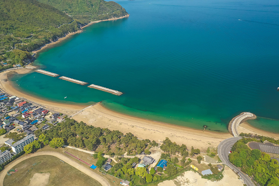 弓削島の「松原」