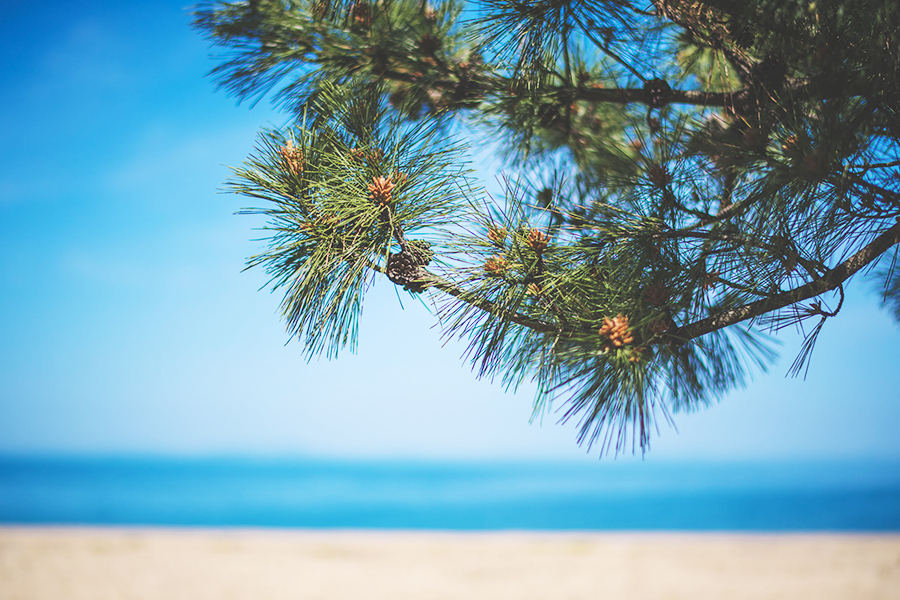 Matsubara where Locals and visitors can relax