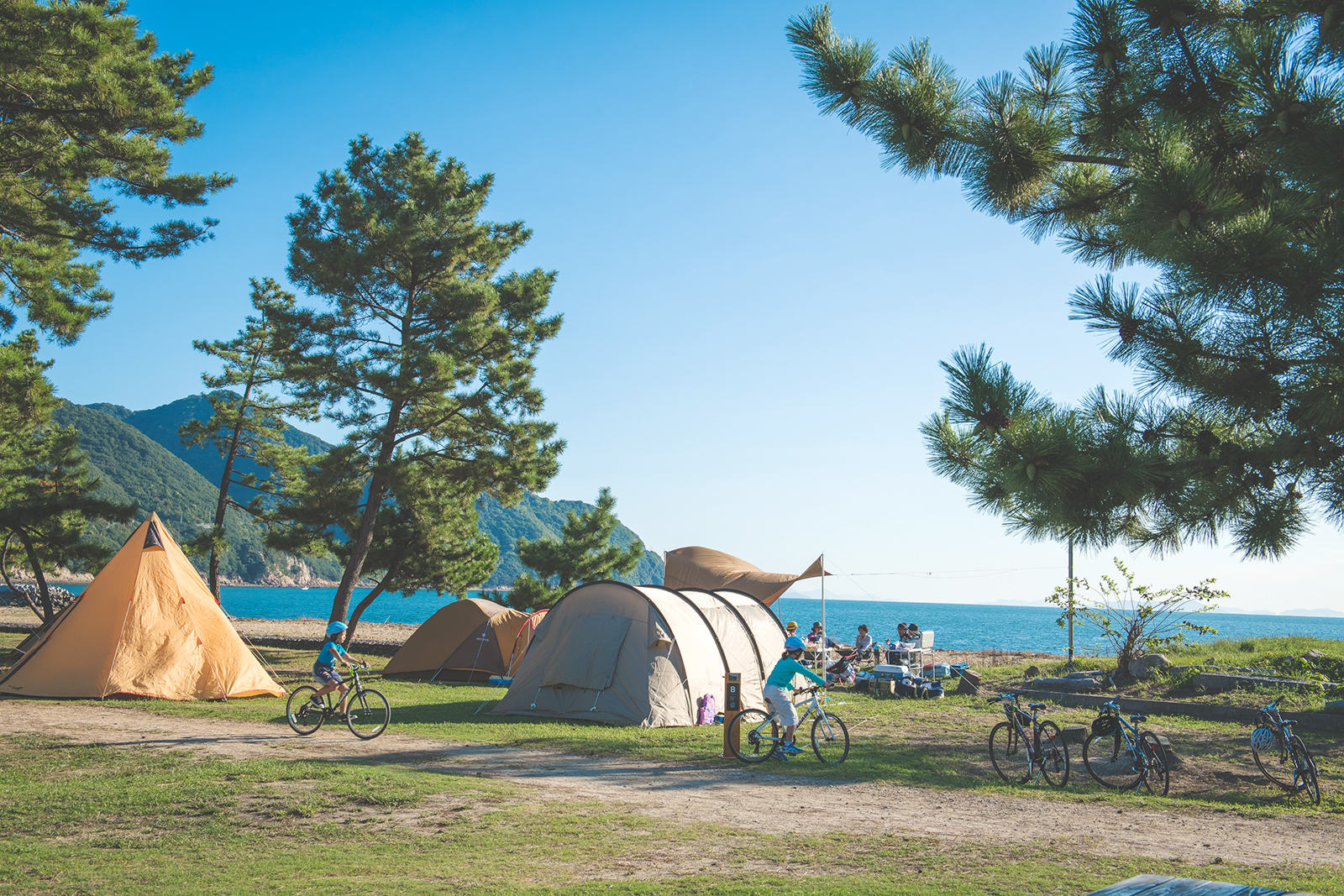 キャンプサイト