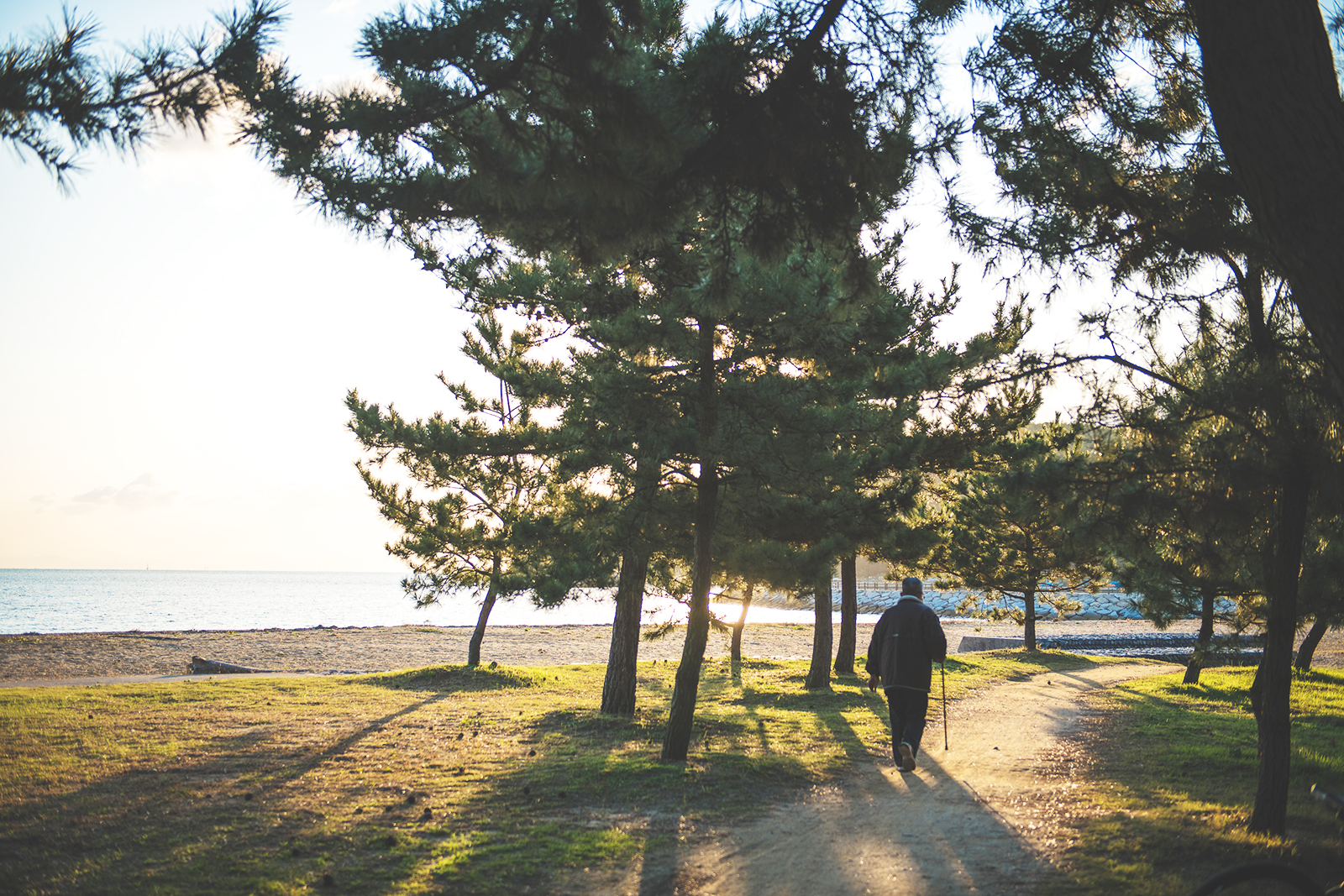 The inherited pinegrove