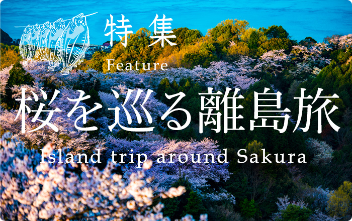 桜を巡る離島旅