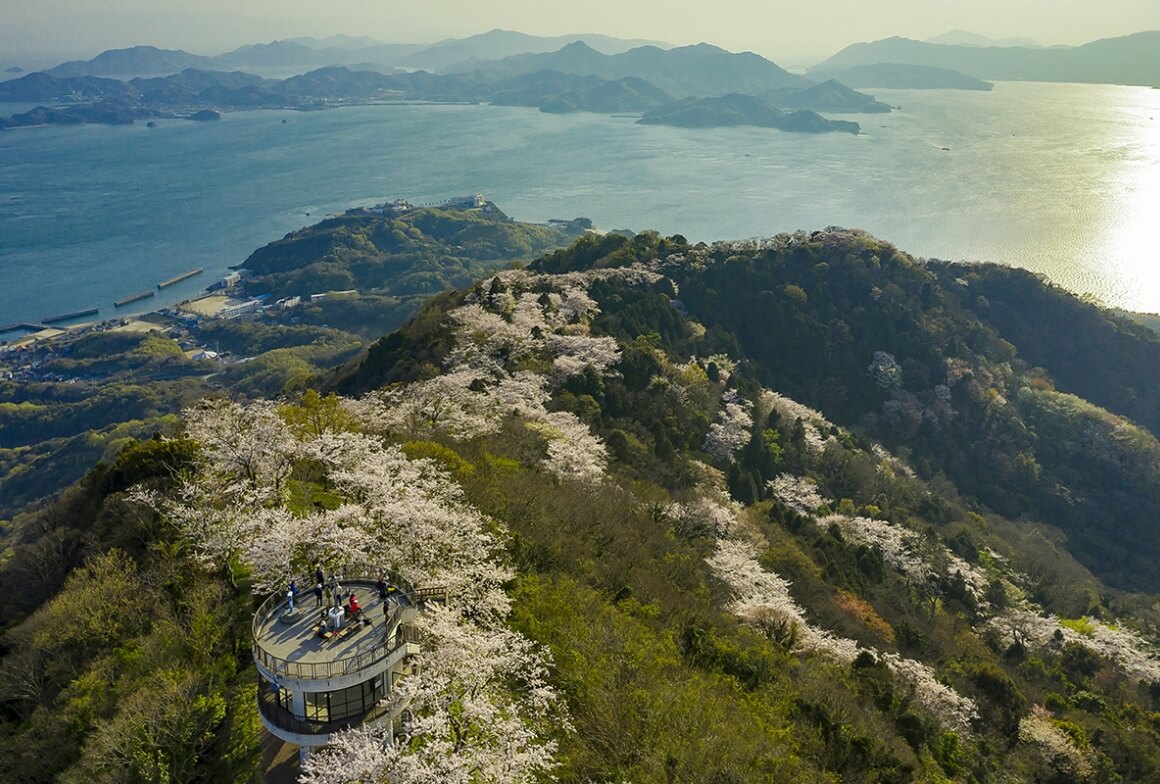 積善山三千本桜
