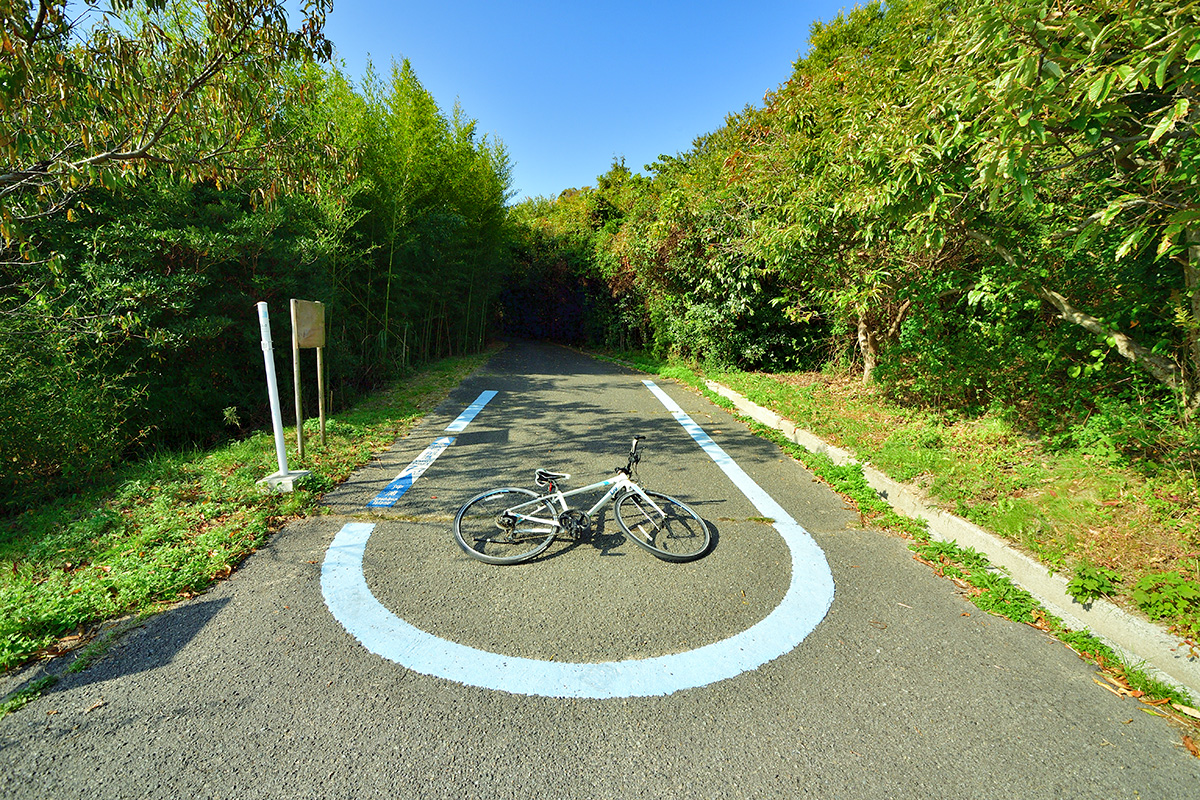 Uターンブルーライン