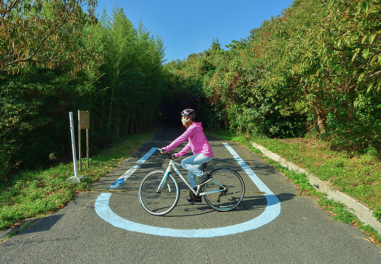 Uターンブルーライン