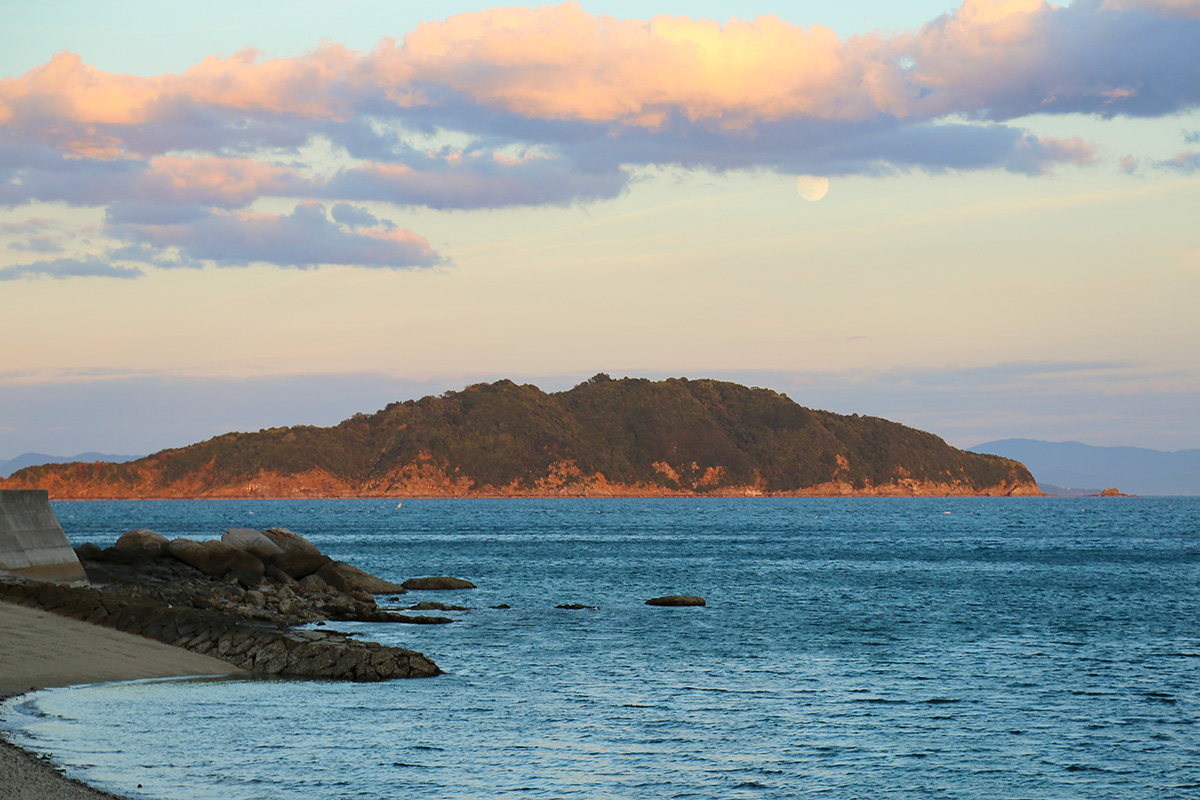 魚島の鯛・吉田磯