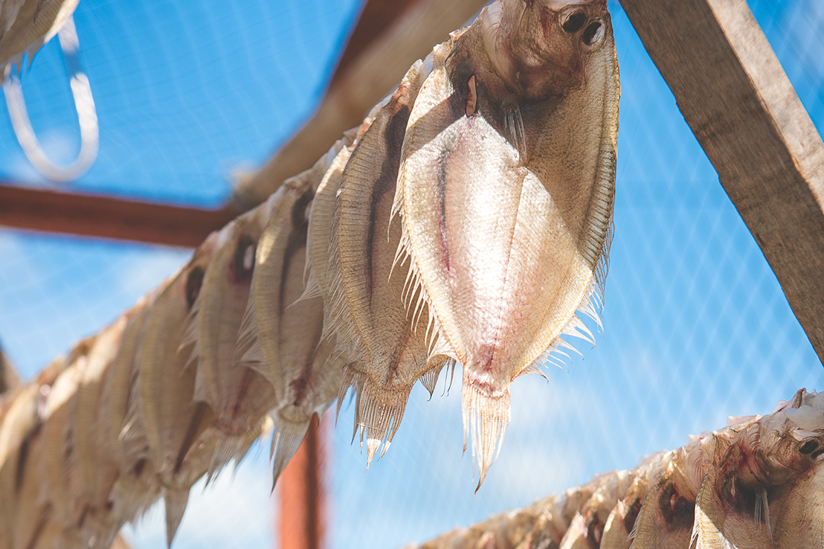 デベラとたこ壺