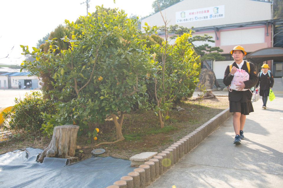 <em>レモンを訪ねる離島旅</em> 「青いレモンの島」 岩城島<br /><sub>Island trip to visit lemon / "Island of Blue Lemon" IWAGI<sub>