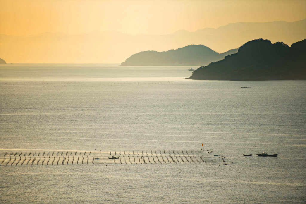 海苔を訪ねる離島旅