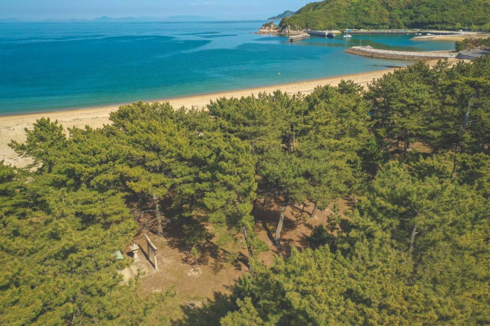 <em>松林を訪ねる離島旅</em>「松と人 三つの時代の物語」法王ヶ原・弓削島<br /><sub>Island trip around Pinegrove / "Pine and people: The story of three eras" Hoogahara, Yuge island<sub>