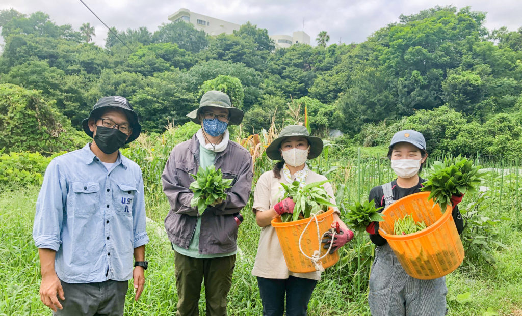 しましま農園体験