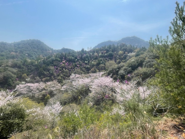 愛知の山P 愛知県名古屋市港区の命山を見学してきました｜防災公園で学ぶ津波対策