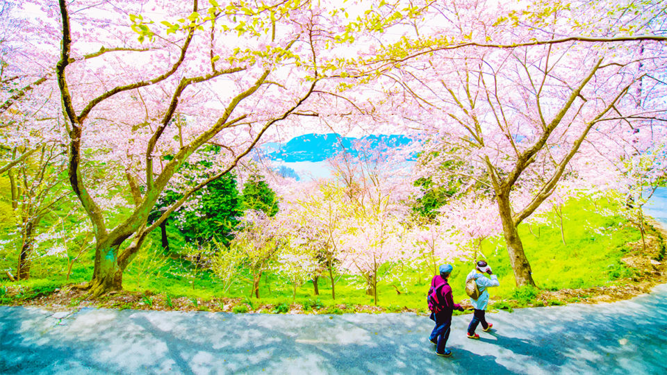 愛知の山P mqdefault.jpg