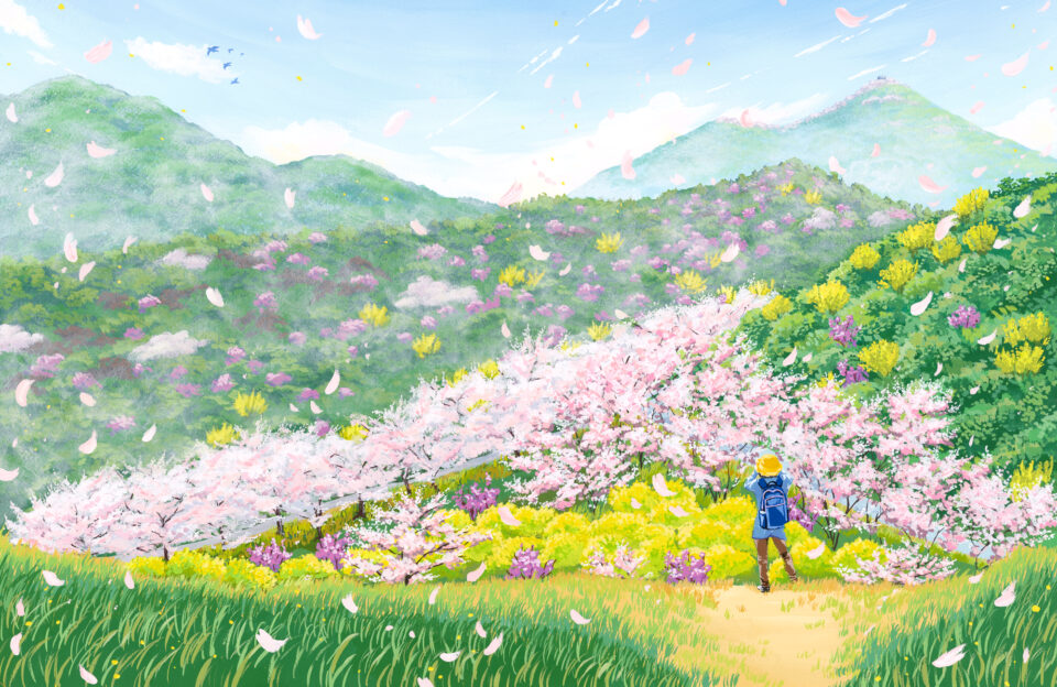 2026開花情報 積善山三千本桜のサムネイル