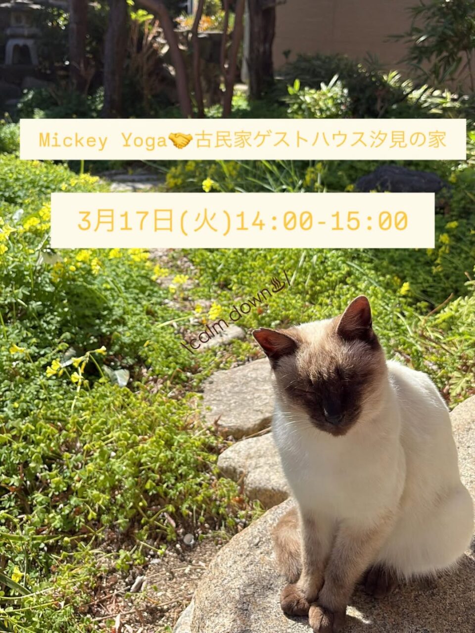 ヨガ教室 Mickey Yoga @ 古民家ゲストハウス汐見の家のサムネイル