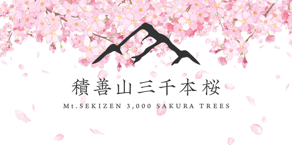 2026開花情報 積善山三千本桜のサムネイル